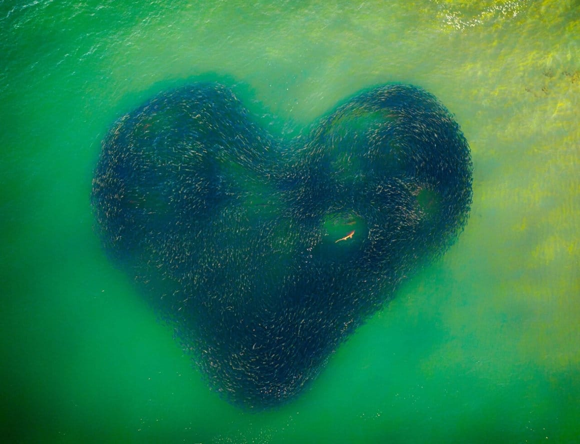 Le grand gagnant du Drone Photo Award 2020 est Jim Picôt avec sa photo Love Heart of Nature
