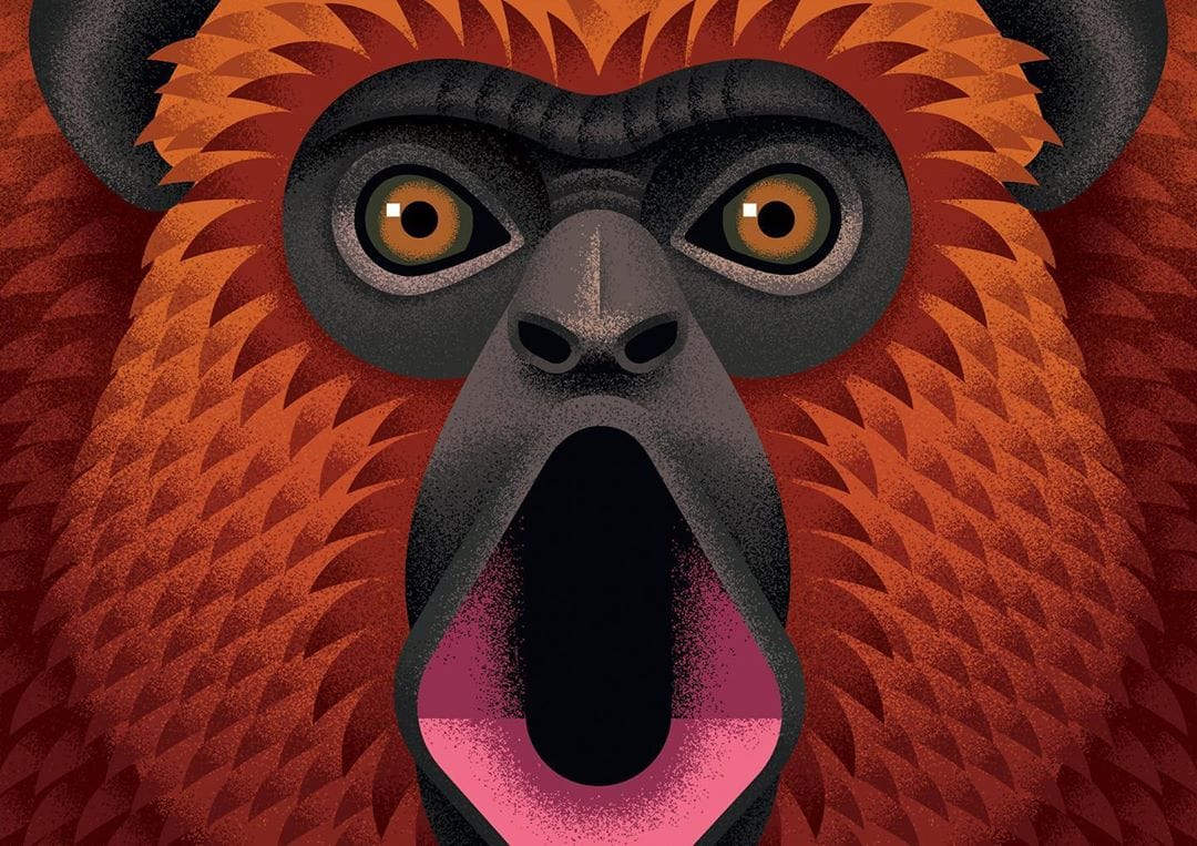 Un singe, illustré par l'artiste Ana Miminoshvili