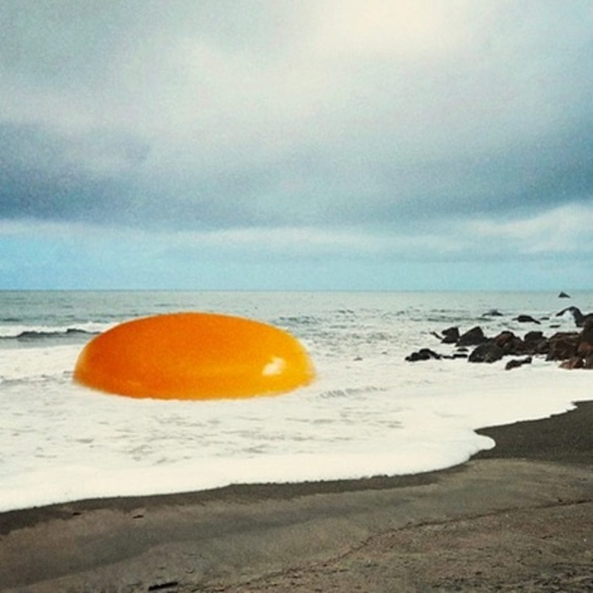 Collage réalisé par Mohanad Shuraideh représente un œuf océanique