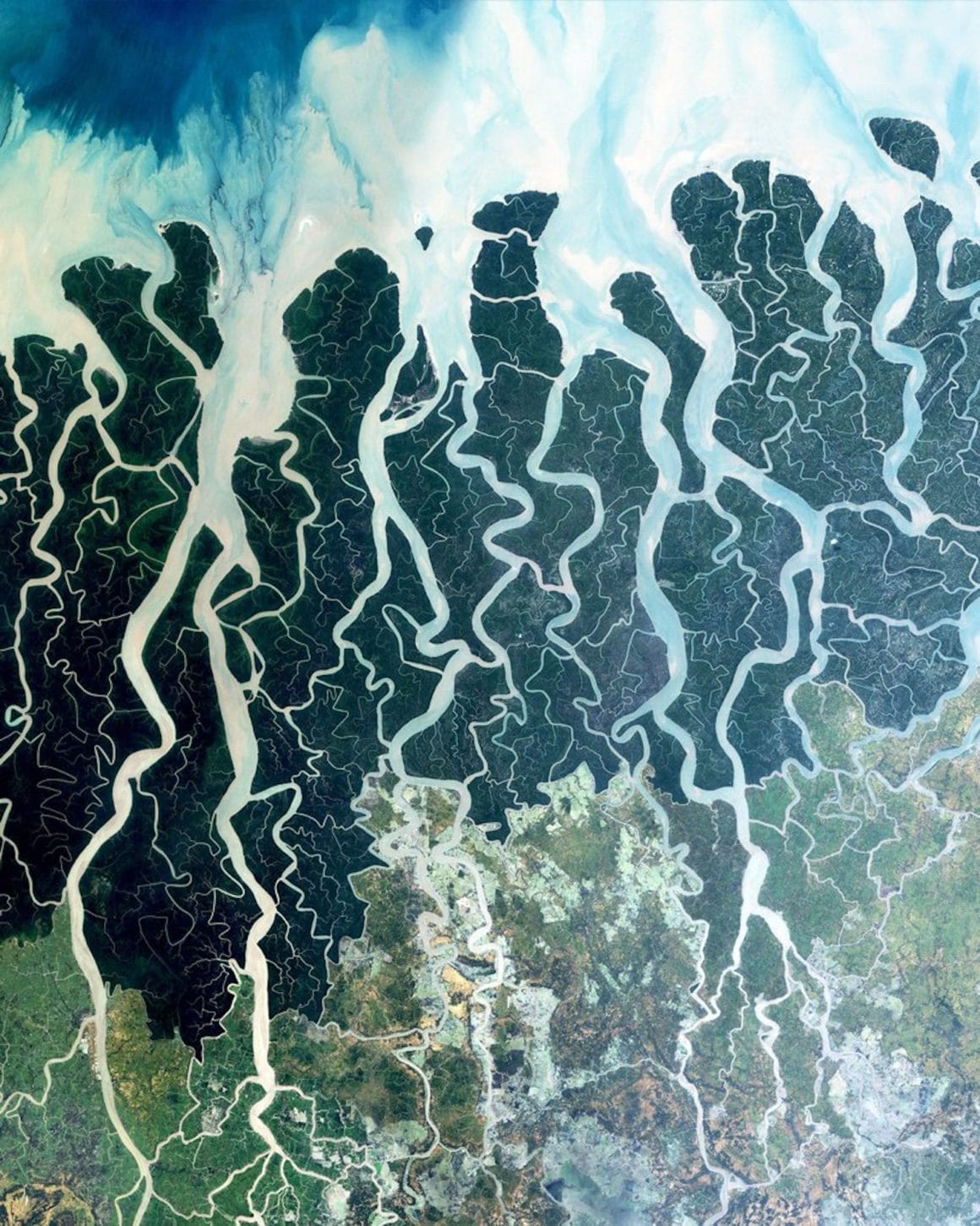 On ne dirait pas à première vue mais ce cliché, capturé par la NASA, représente bien une forêt au Bangladesh