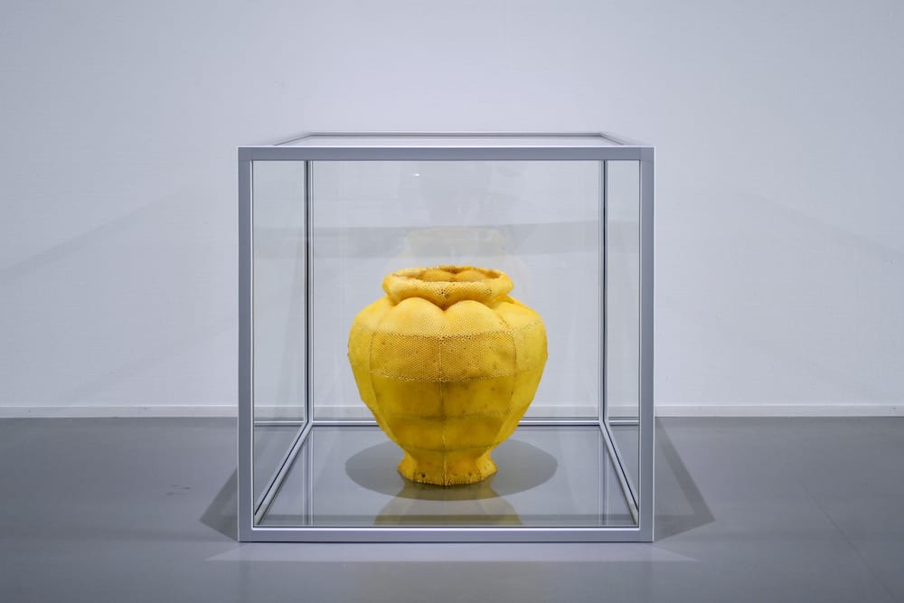 Sculpture d'un vase en cire d'abeille dont les niches ont été creusées par les abeilles elles-mêmes. Sculpture protégée par une boîte faite de verre et de métal