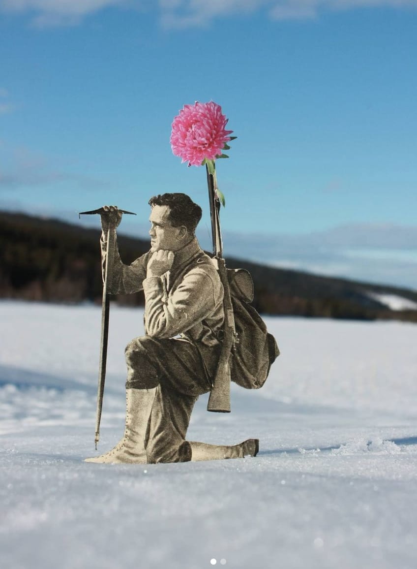 Un militaire avec une fleur au bout de son fusil dans la neige