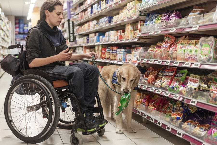Jeune femme en fauteuil roulant avec son chien dans un rayon au supermarché