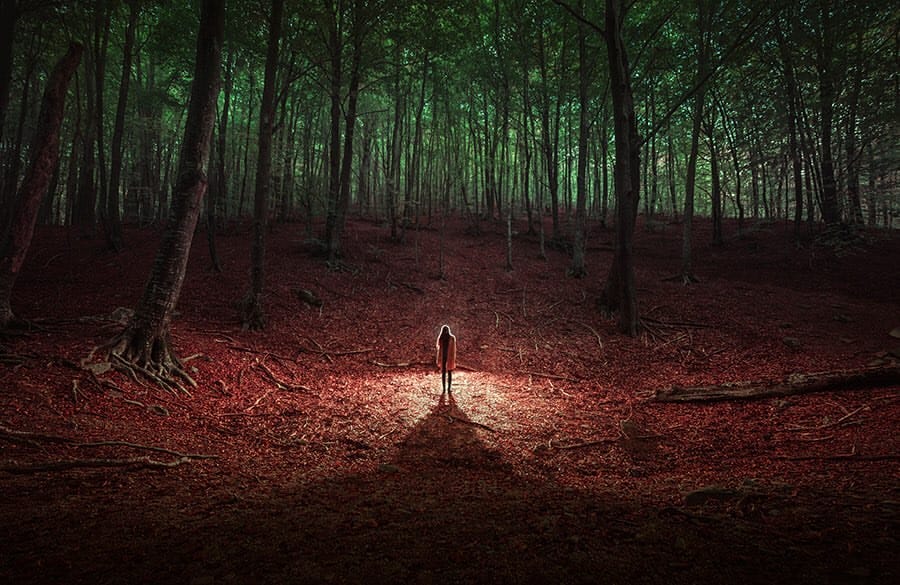 On voit nune femme se tenir debout au milieu d'une forêt dense