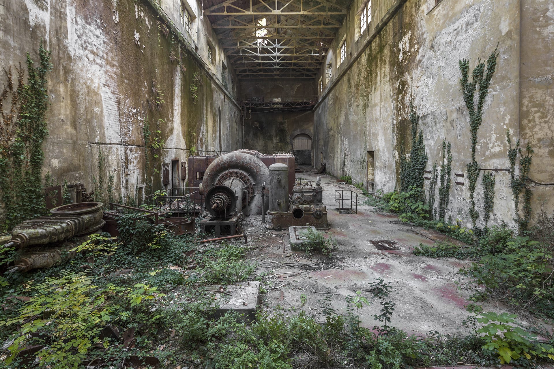 Photographie d'une salle d'une ancienne centrale électrique dont le sol est recouvert de plantes. Du lierre grimpe aux murs.