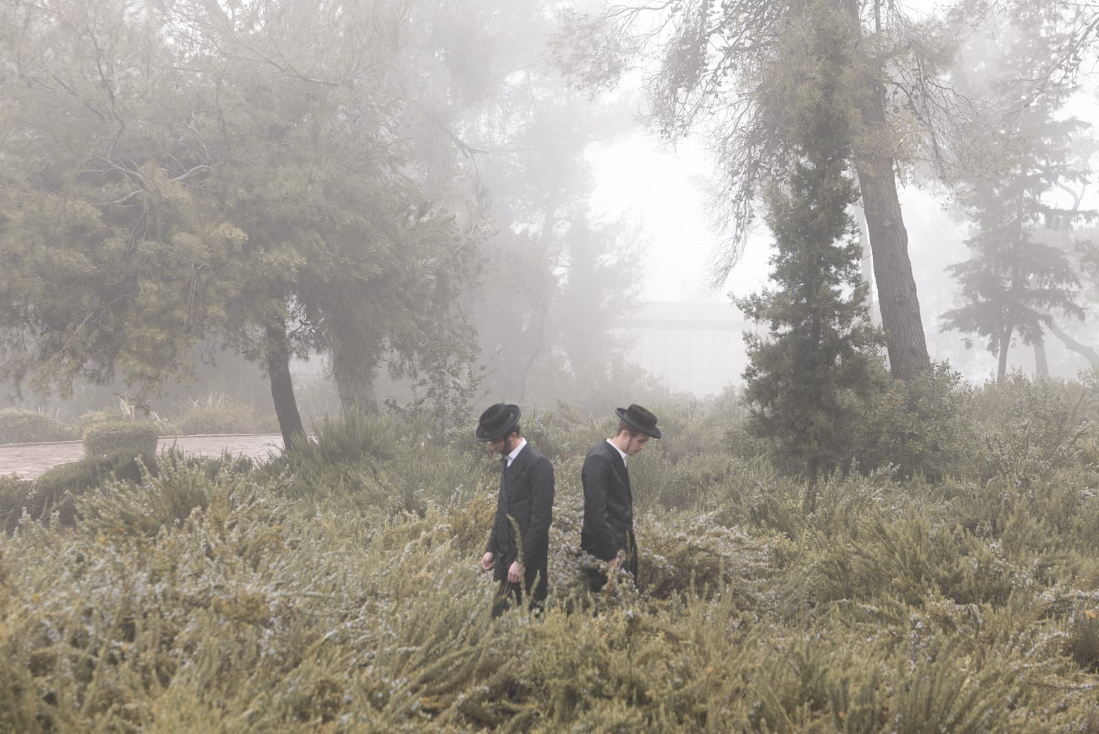 Dans un paysage de forêt et couvert de brouillard, deux hommes sont dos à dos