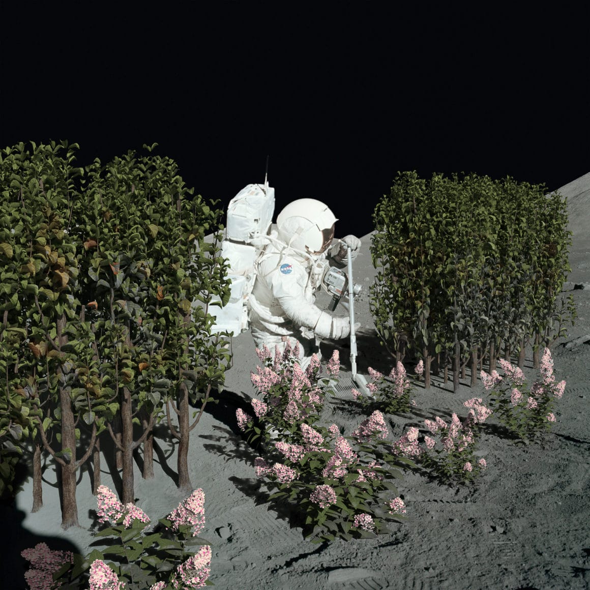Astronaute qui fait du jardinage sur la lune