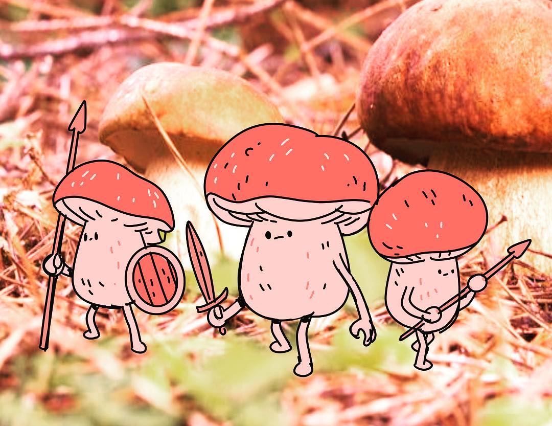 Petits champignons roses dessinés qui sont au milieu d'une vraie photo de champignons