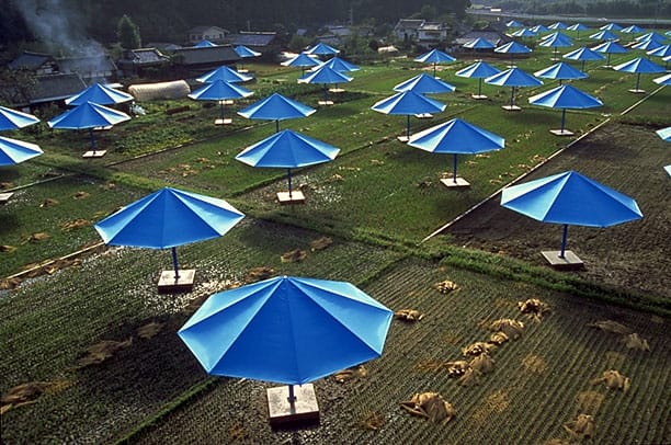 Parasols bleus plantés dans des rizières
