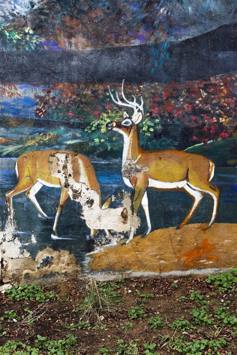 Peinture murale abîmée photographiée par Jordan Baumgarten