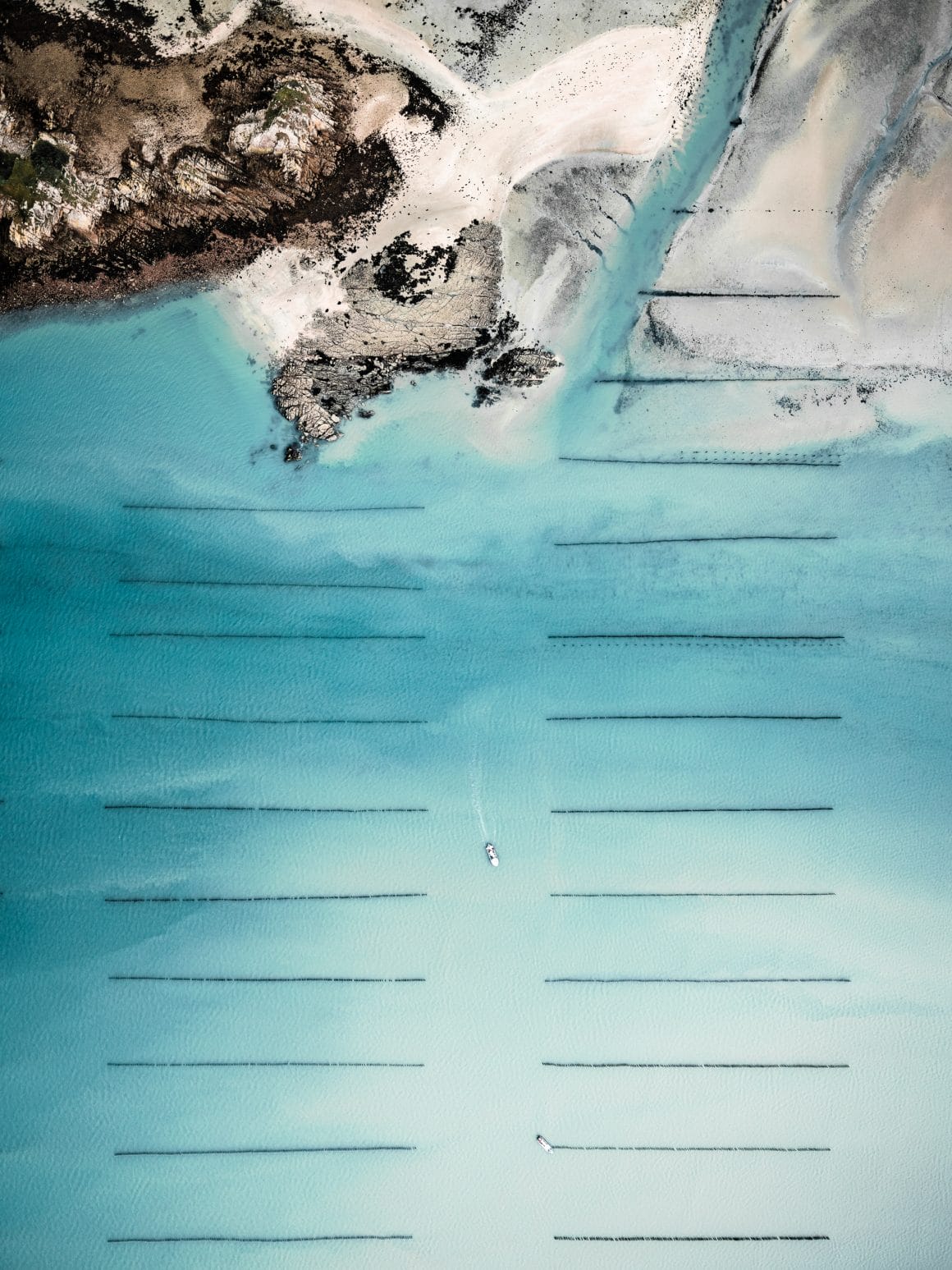 Lignes espacées d'ostréiculture, avec bras de mer donnant sur une plage sauvage. Jeu du blanc du sable, en contraste avec le bleu de la mer et la texture des pans arborés.