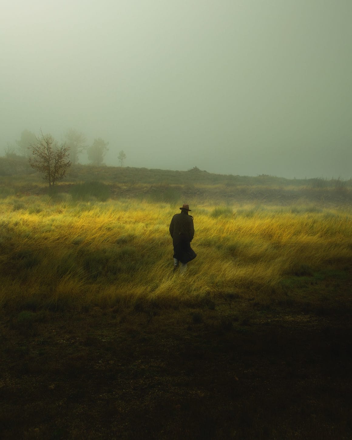 Cette photo de l'artiste Henri Prestes montre un homme de dos avec un chapeau marchant dans un champ 