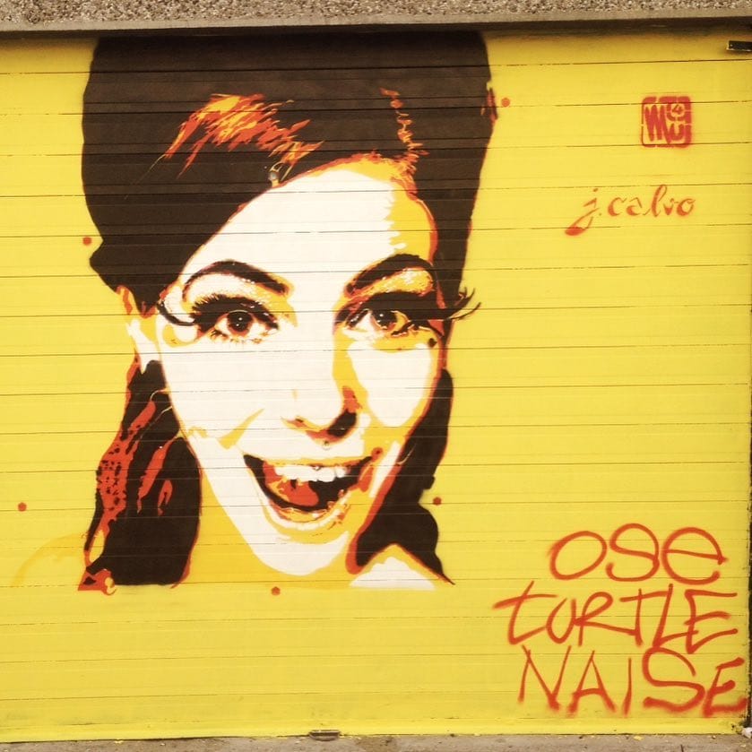 Fresque d'une femme souriant. street art fest