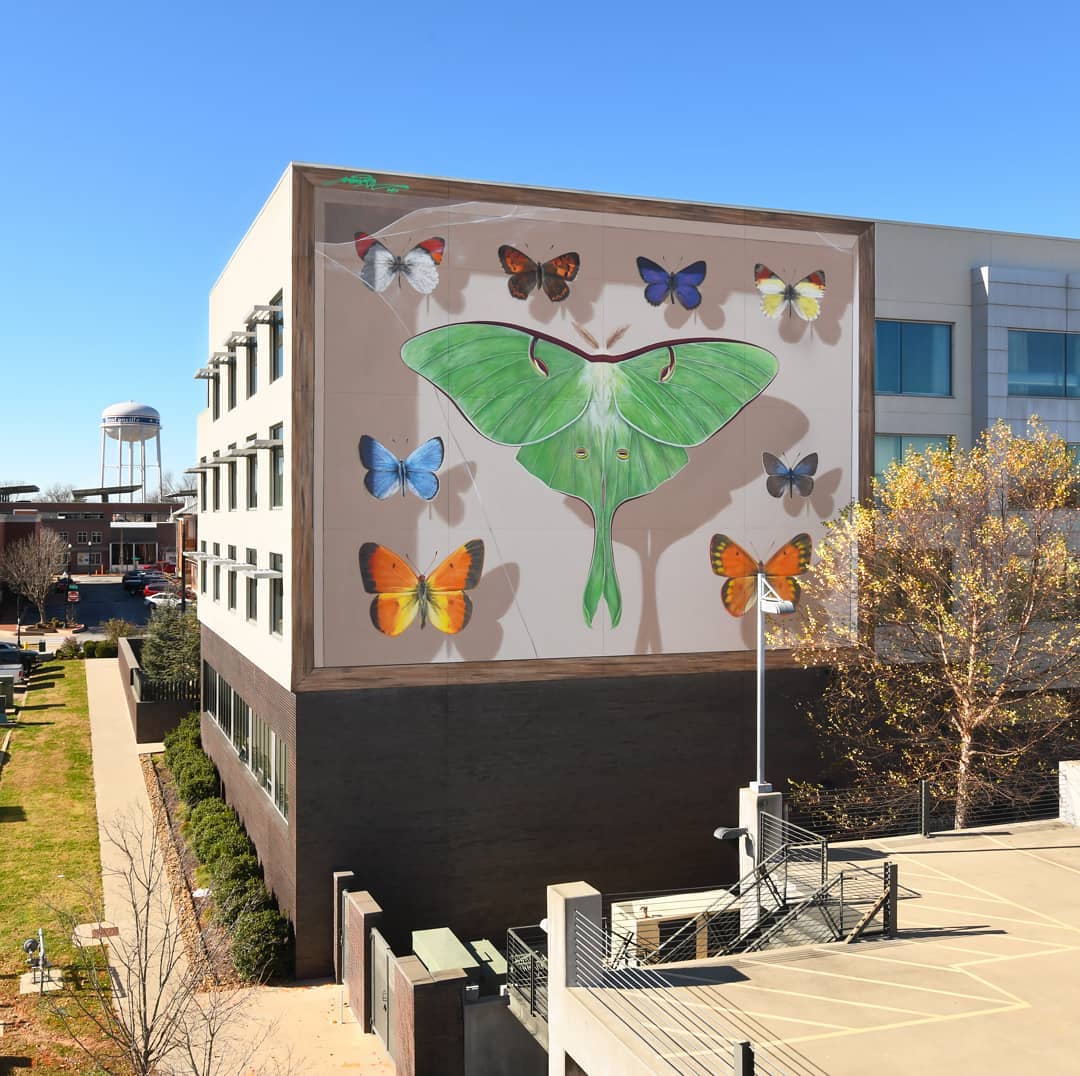 Photographie d'une peinture murale avec des papillons.