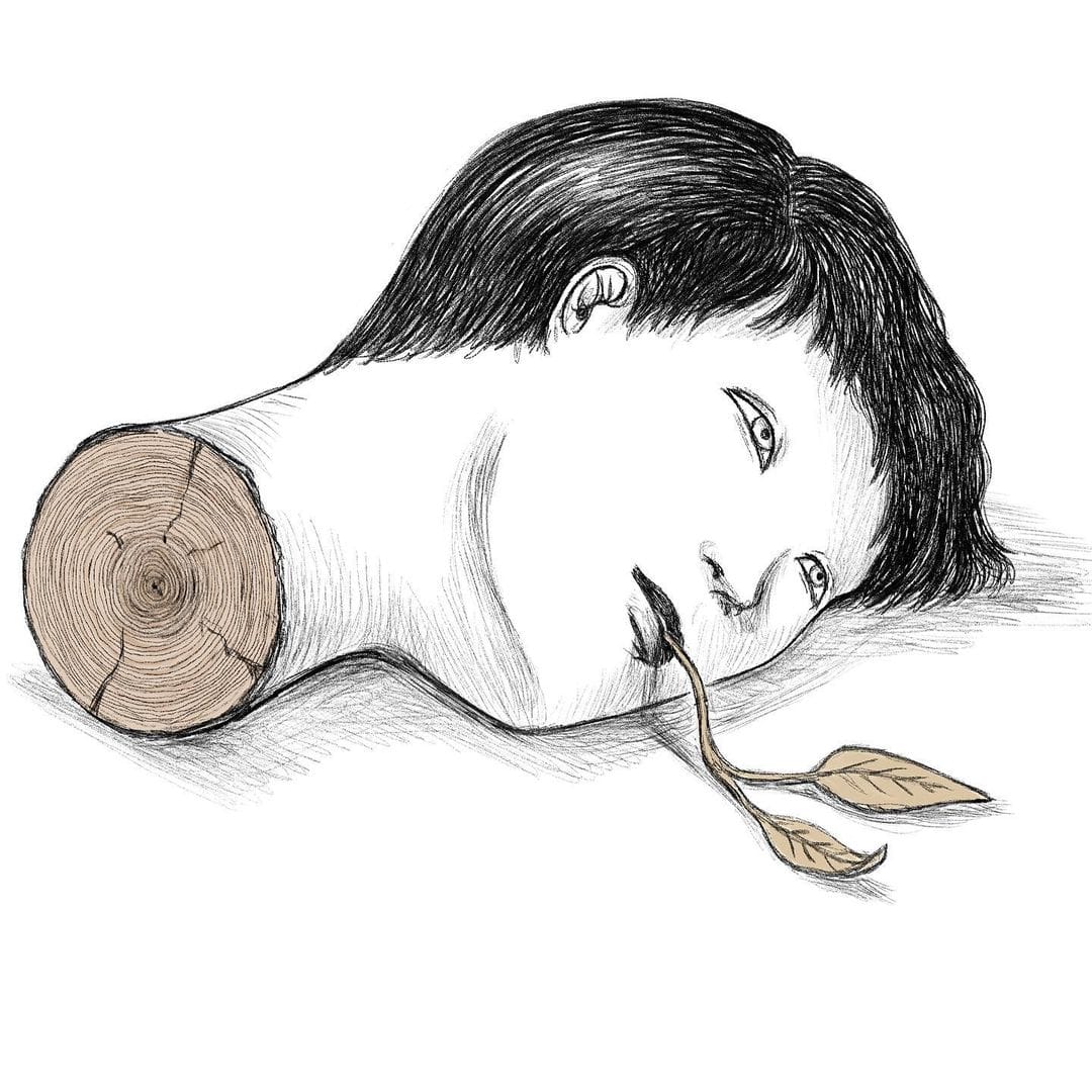 Illustration d'une tête coupé comme un tronc d'arbre.
