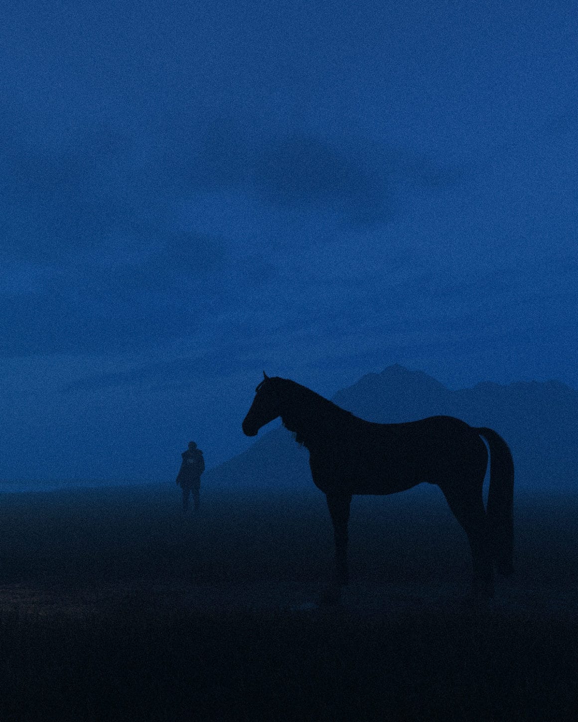 cheval devant montagne