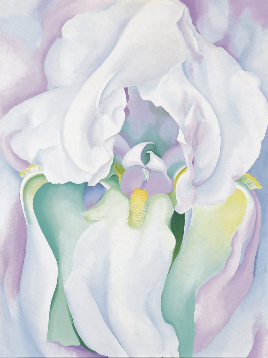 White Iris No.7, Georgia O'Keeffe, 1957