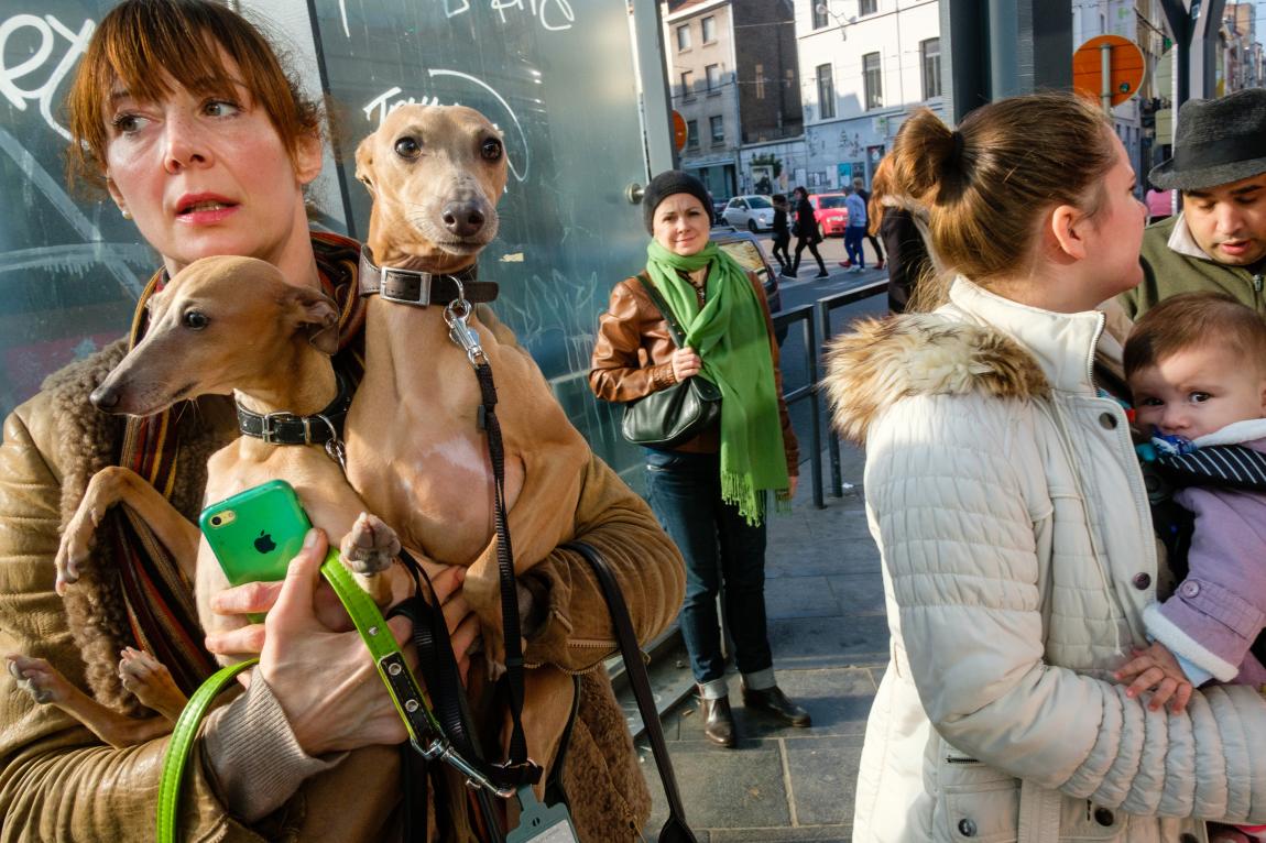 dans la rue, les passants se tiennent en prenant dans leur bras 2 chiens et un téléphone pour une dame, un bébé pour une autre passante
