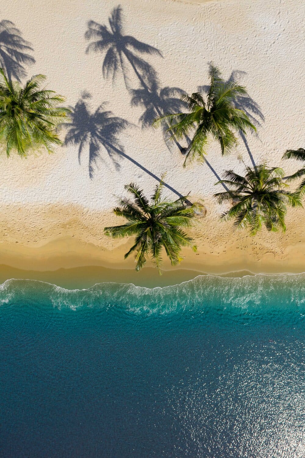 la plage, les palmiers et la mer sont pris en photo par un drone aérien