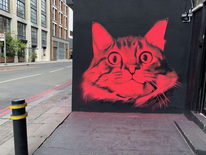 David Speed quand le street art joue avec les néons