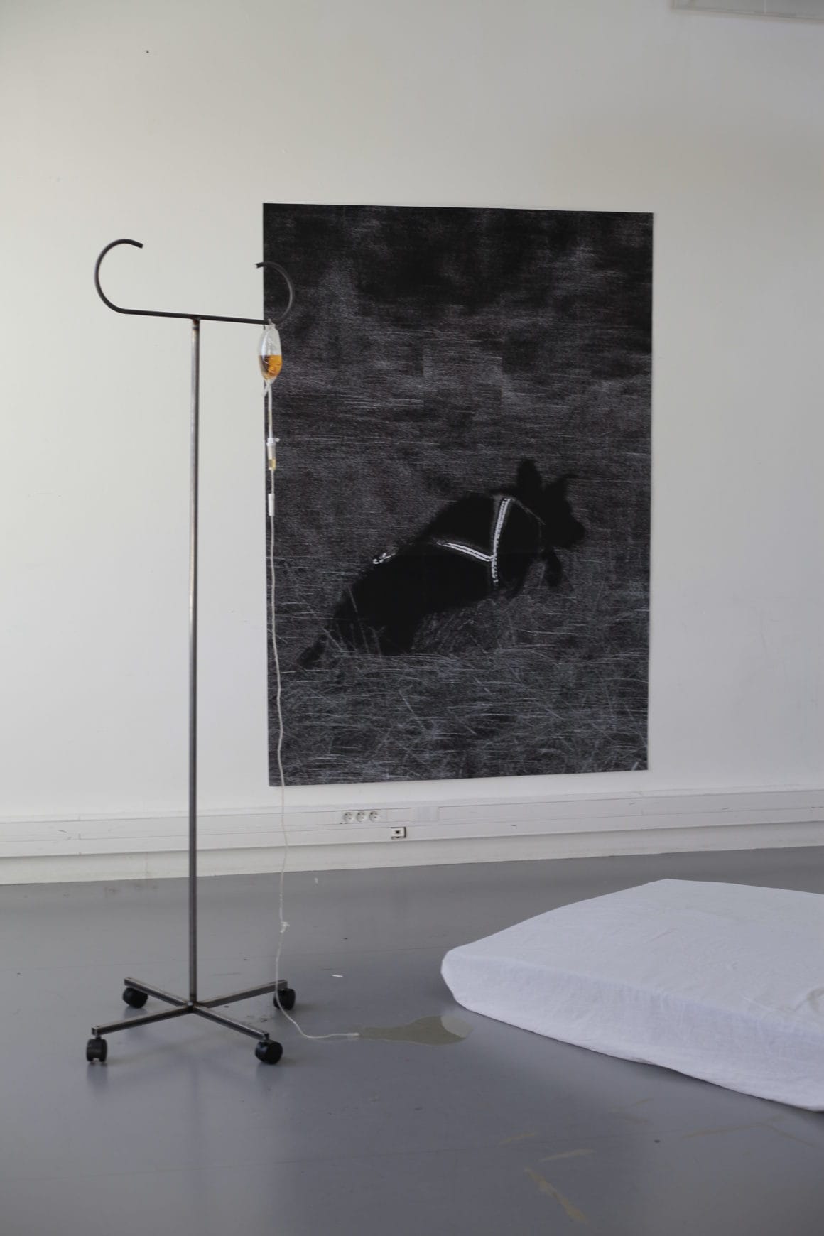 Quentin Fromont installation et photo noir et blanc