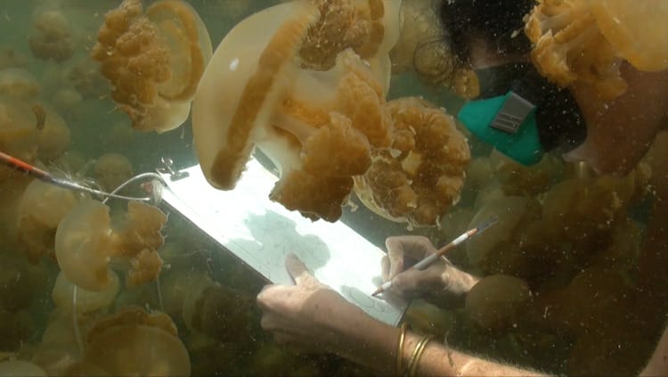 En plongée sous-marine entourée de méduses