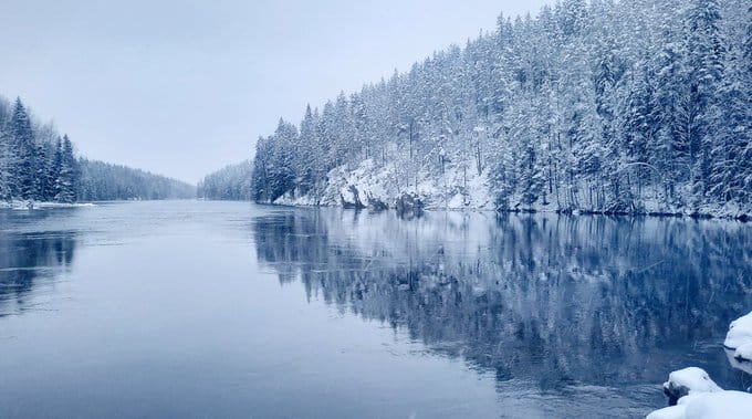 Photo d'un lac encerclé par une forêt de sapins enneigée.