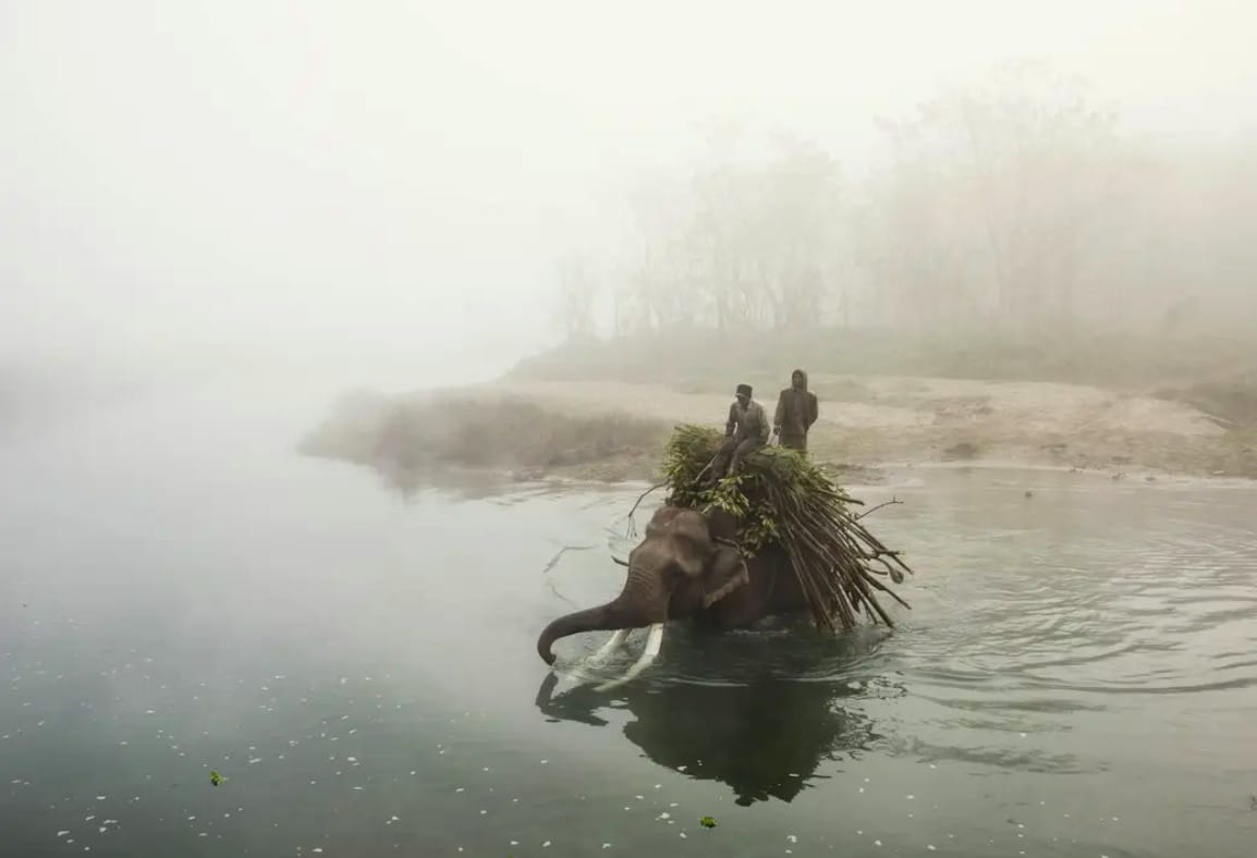 Deux personnes traversent une rivière sur le dos d'un éléphant.