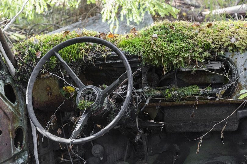 Vue intérieure d'une voiture abandonnée recouverte de mousse.