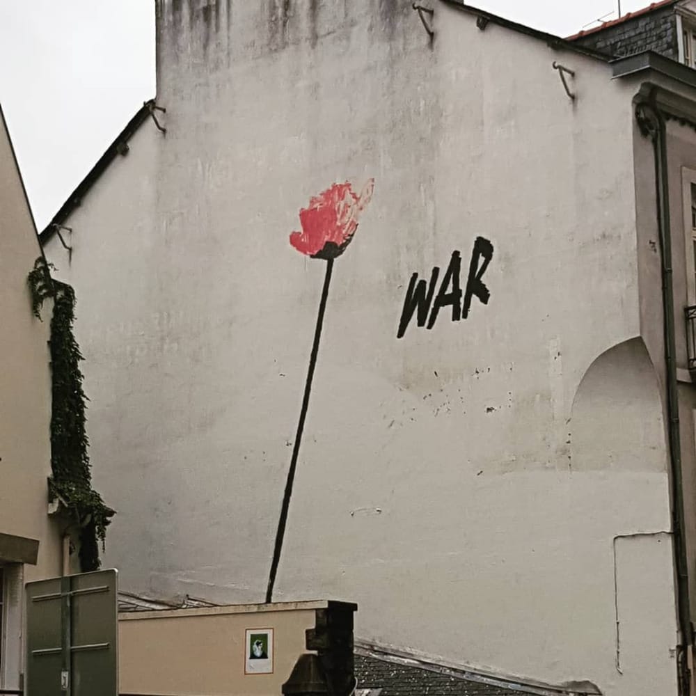 Fleur dessinée sur un mur du centre-ville de Rennes pas War !