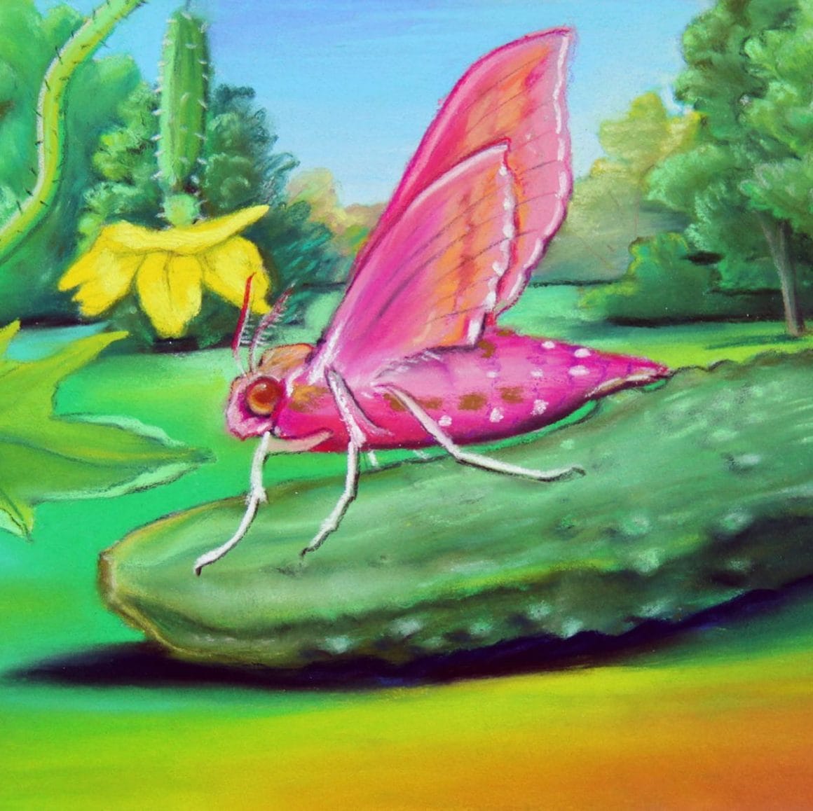 Peinture d'Emma Steinkraus - papillon d'érable rose sur un cornichon.