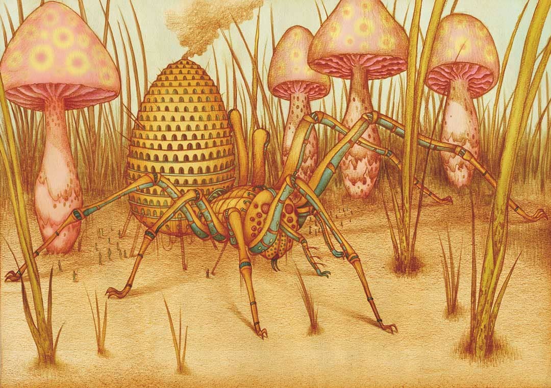 Cette illustration représente une araignée devant des champignons.