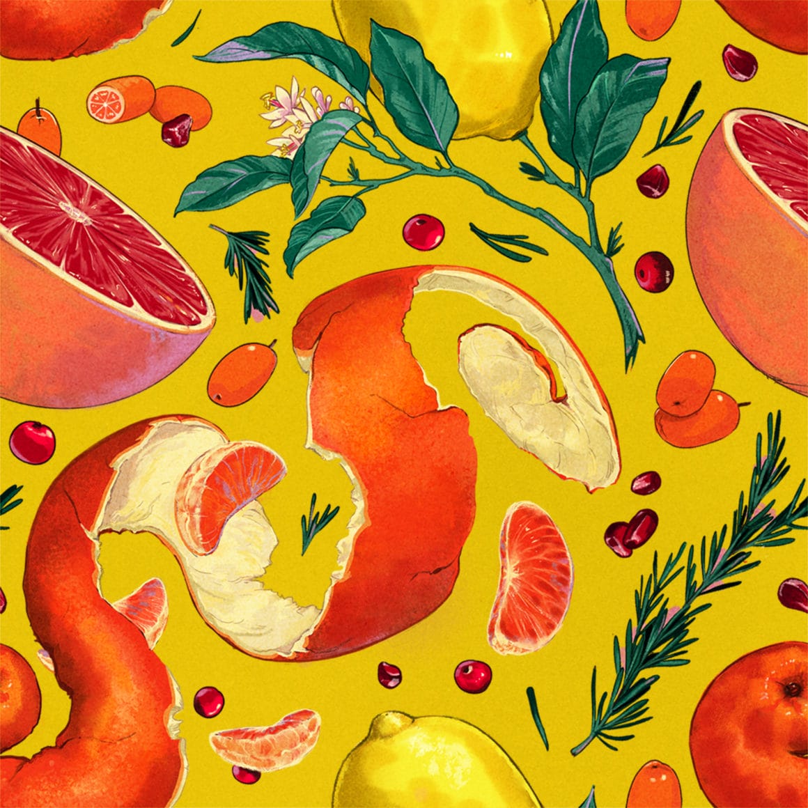 Cette illustration représente des fruits, dans les tons jaunes oranges, donc il y a des oranges, des citrons, des kumquats, etc.