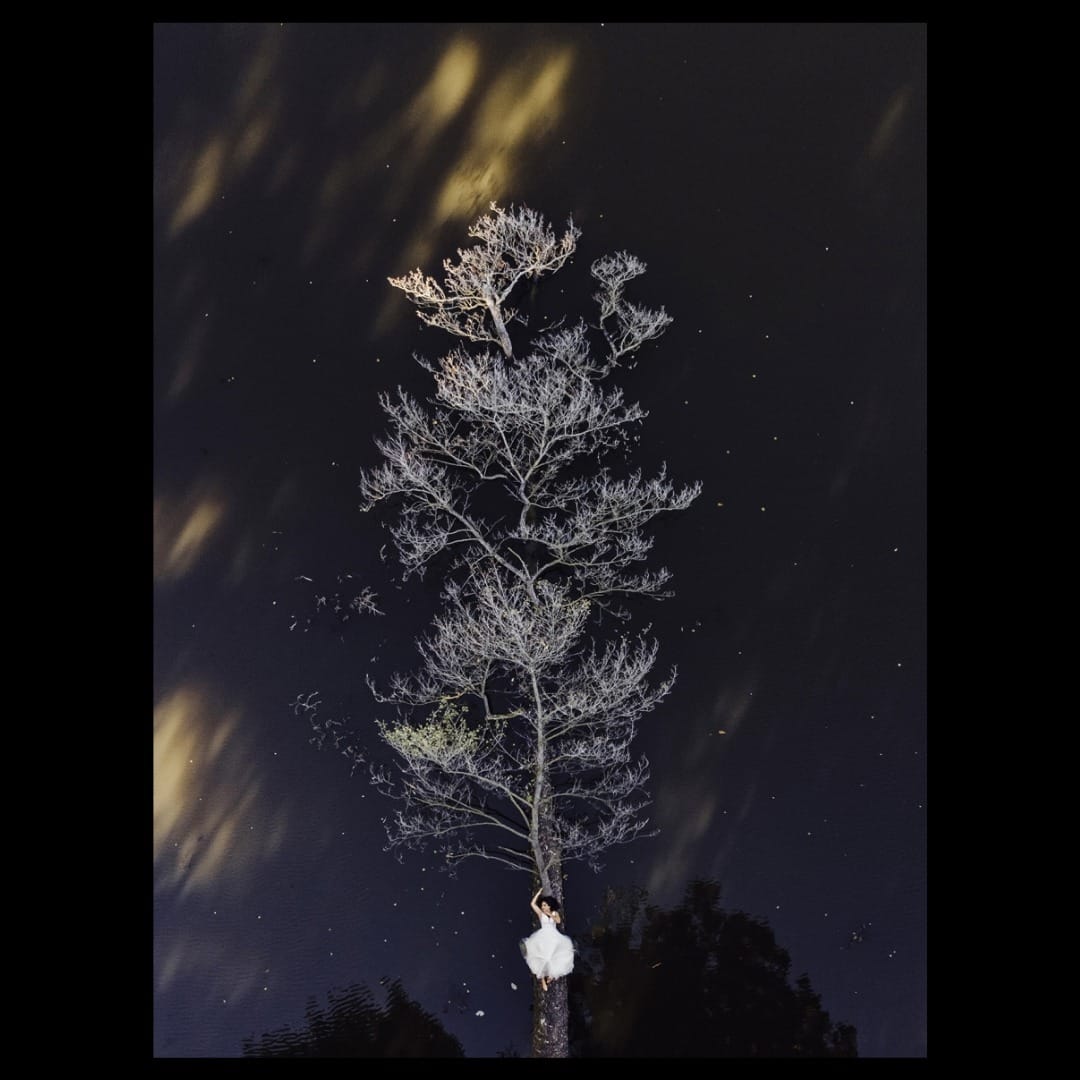Photo aérienne d'une femme en robe de mariée accrochée à un arbre devant un beau ciel étoilé