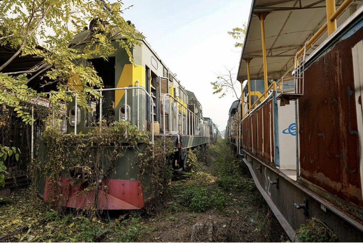 Photo de wagons de trains laissés à l'abandon en train de se faire dévorer par les plantes.