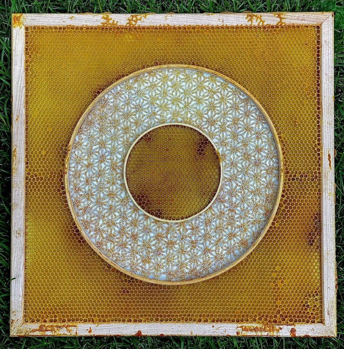 Cercle brodé avec des perles dorées entouré par les alvéoles d'une ruche
