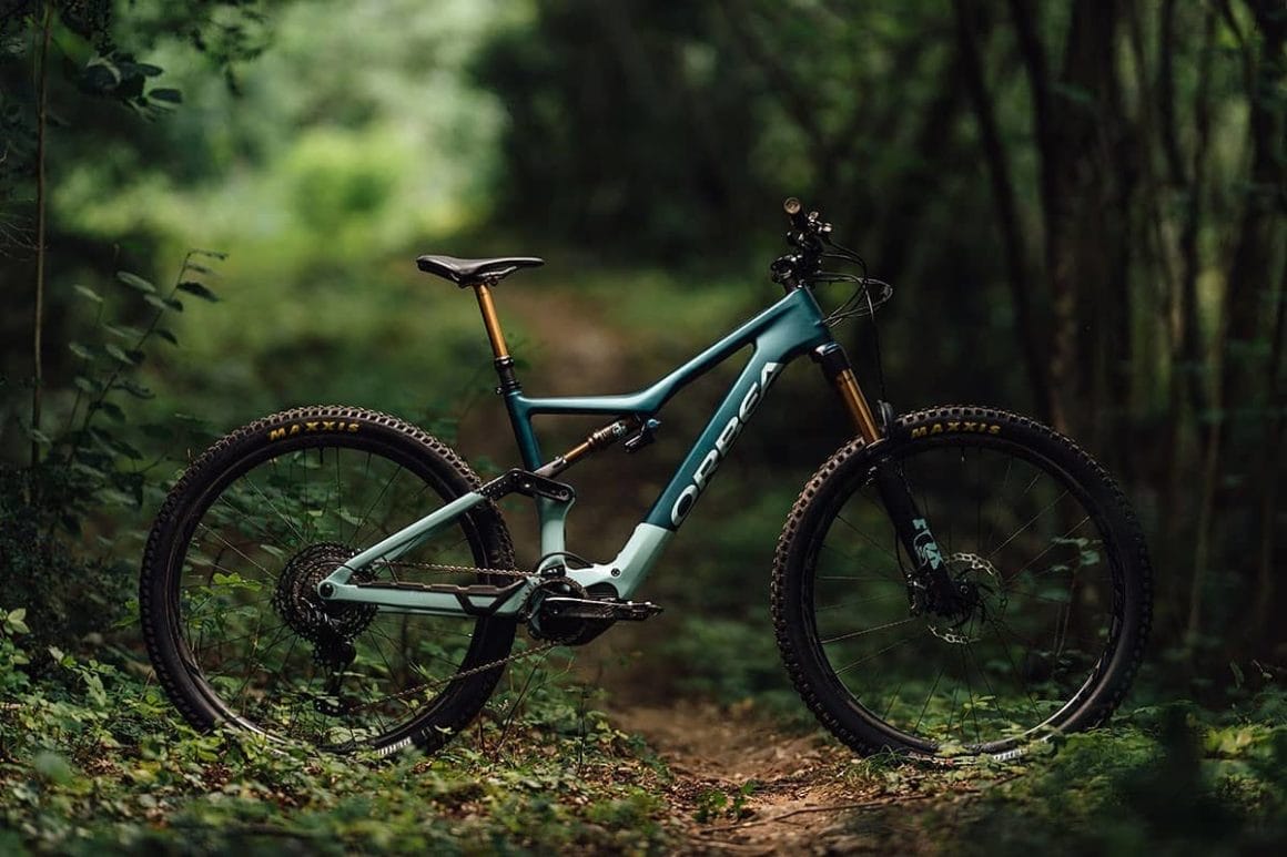 Un vélo est posé dans une forêt