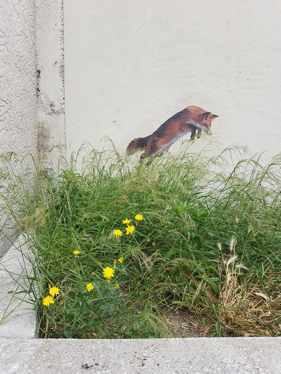 peinture de renard sur un mur au-dessus d'herbes