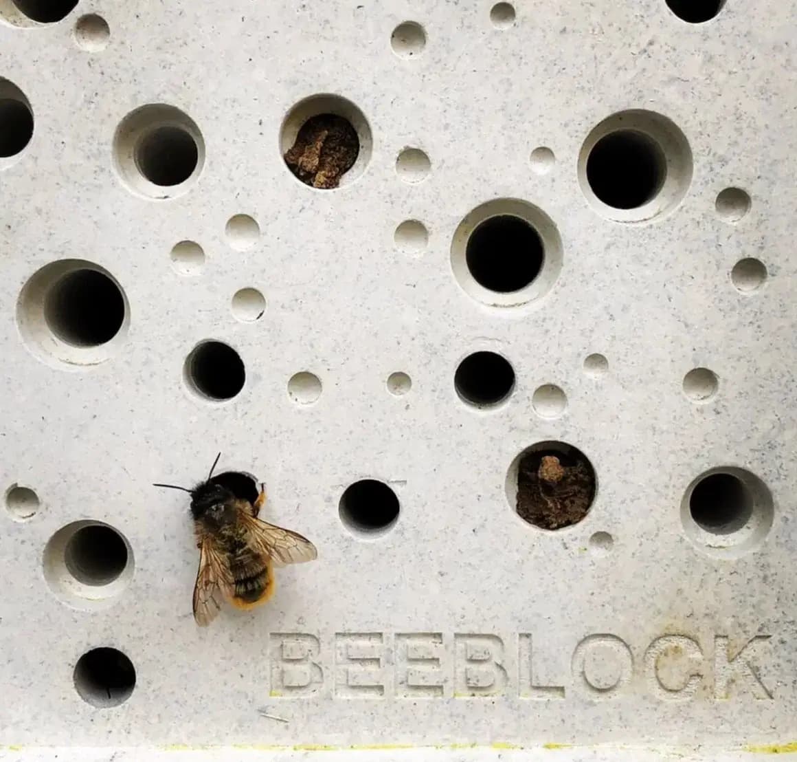 Bee Brick des briques percées design pour héberger les abeilles sauvages 1