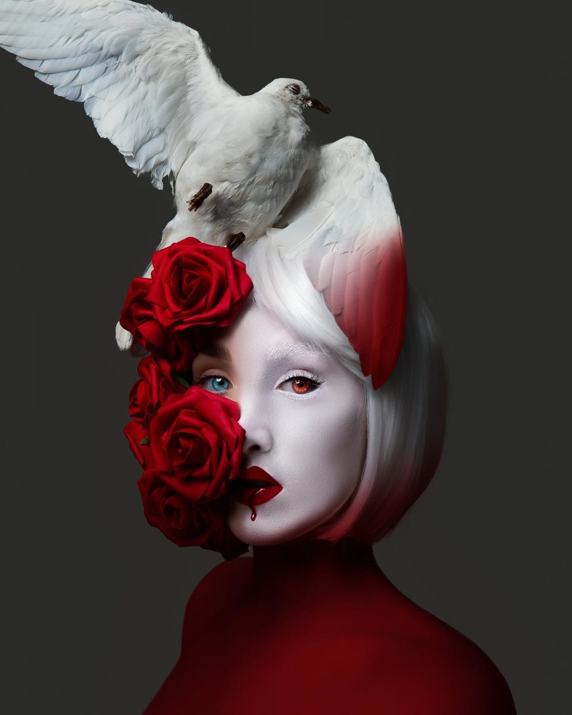 l'artiste avec des roses et une colombe
