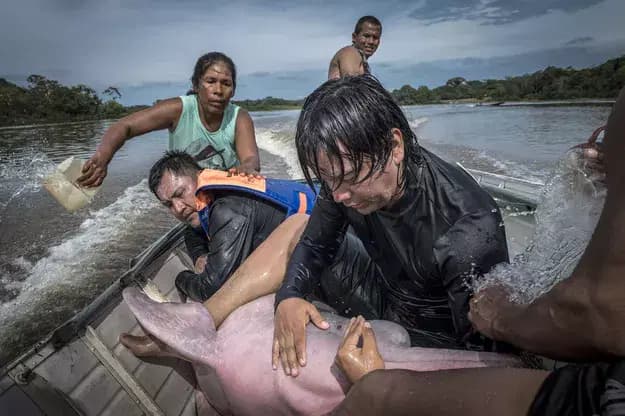 © Jaime Rojo, Étreinte de dauphin
des pêcheurs étreignent des dauphins sur le bateau