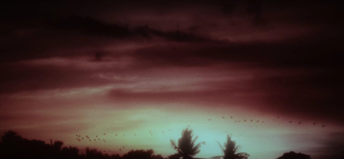 Un vol d'hirondelles sur un coucher de soleil rouge et jaune.