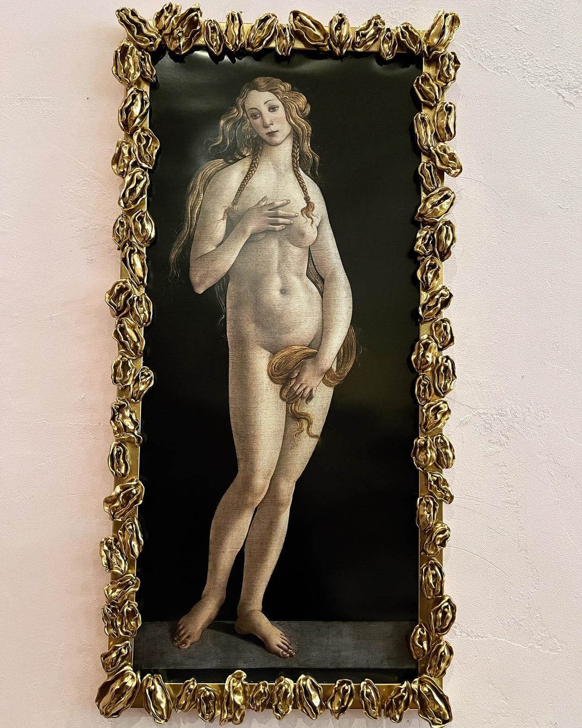 vulves entourant la Venus pudica de Botticelli
