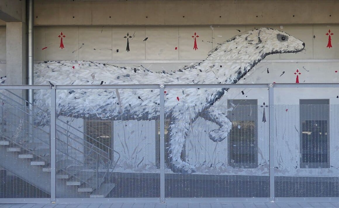 war! street art, la blanche hermine