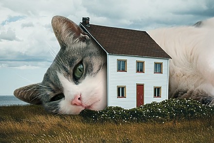 Un chat géant se repose dans une petite maison