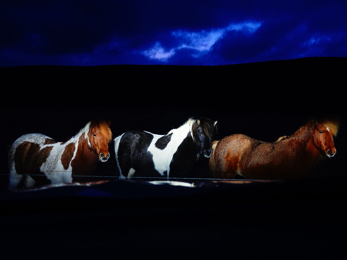 Trois poneys dans une nuit sombre