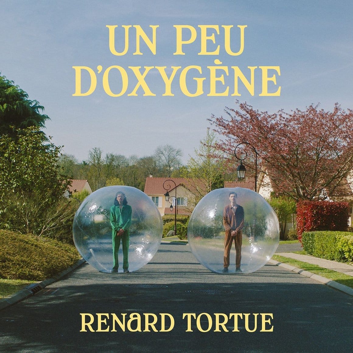 Renard Tortue : un duo rétro haut en couleurs (et en humour) 4