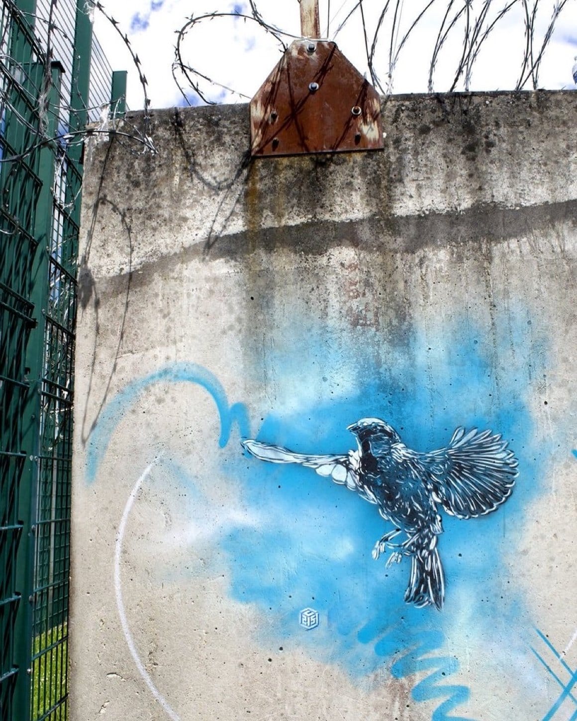 Oiseau sur le mur de la prison d'Osny par C215