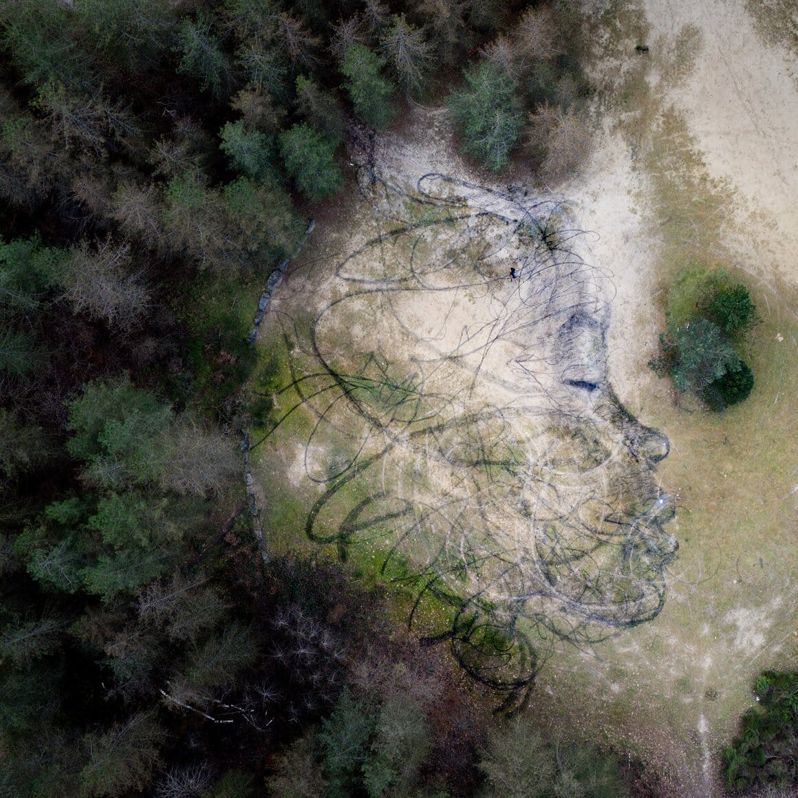 Une fresque d'un visage féminin réalisé en bordure de forêt