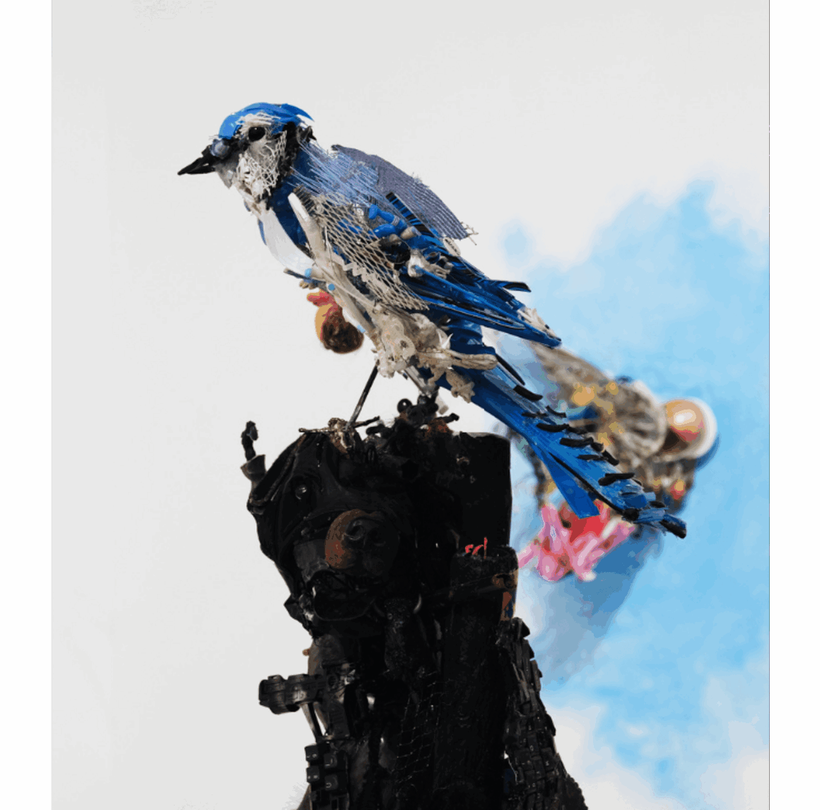 oeuvre "Bluejay, If I Only Had a Heart" de Thomas Deininger